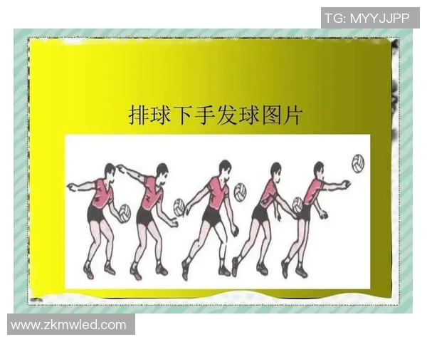 排球新手必看：轻松掌握节奏与技巧的全面入门指南