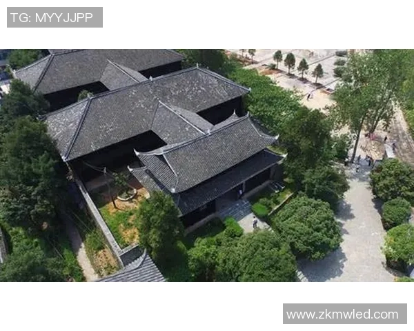 杭州乒乓球队的辉煌征程与突破成就全景回顾