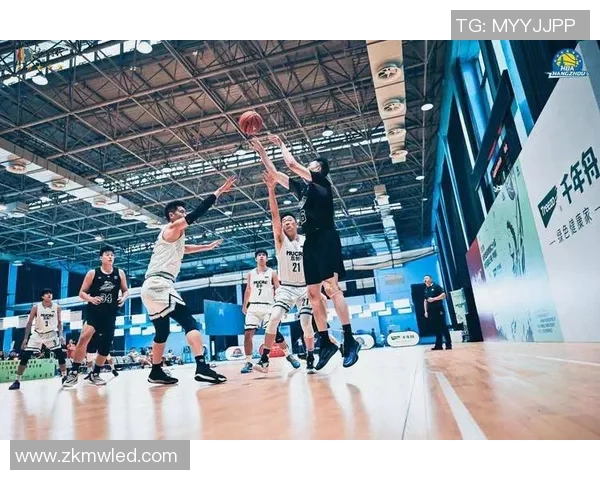 杭州篮球队在城市联赛中的战术表现分析与点评探讨