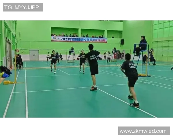 深入分析成都羽毛球队与重庆羽毛球队赛后战术对决的精彩瞬间与策略运用