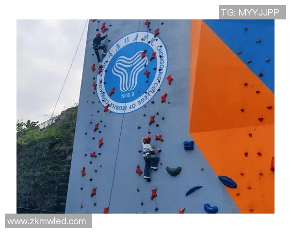 专业解读：重庆攀岩队的反击打法
