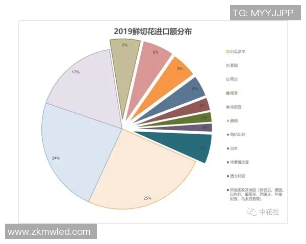 独家分析：武汉攀岩队的配合对比