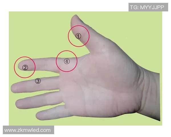 科学乒乓球：配合训练方法_1