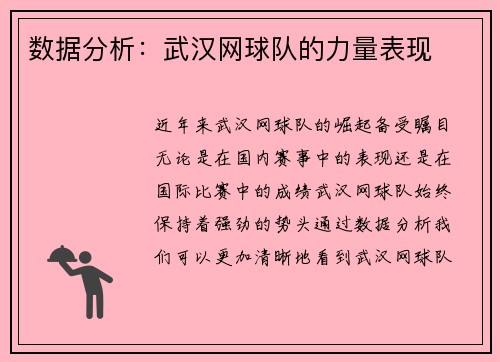 数据分析：武汉网球队的力量表现