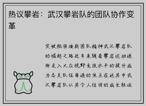 热议攀岩：武汉攀岩队的团队协作变革