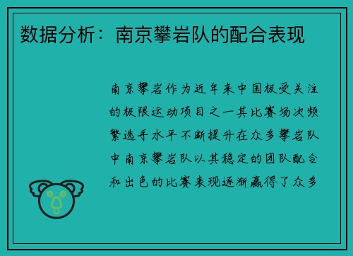 数据分析：南京攀岩队的配合表现